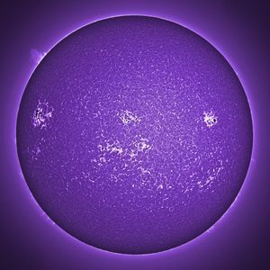 Meet your Posher, Joe